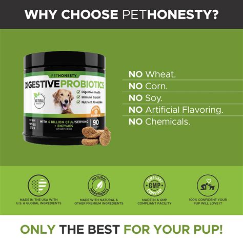 Pethonesty Digestive Probiotics For Dogs All Natural Advanced Dog
