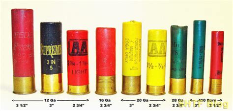 Shotgun Gauges Explained In Beginner Terms