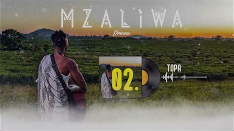 Driemo Topa Official Audio Visualizer Mzaliwa Youtube