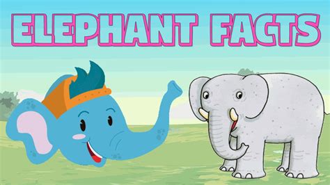 Interesting Facts About Elephants Aatoons Kids