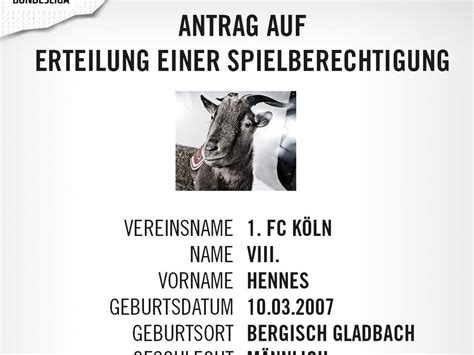 Hennes Viii 1 Fc Köln Hennes A Goat S Tale The Life And Times Of Fc Koln S Mascots In Pictures
