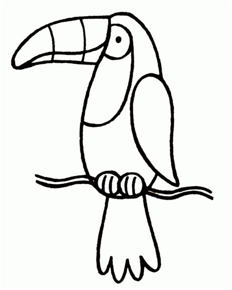 Toucan Coloring Page For Preschoolers Free Rainforest Coloring Pages