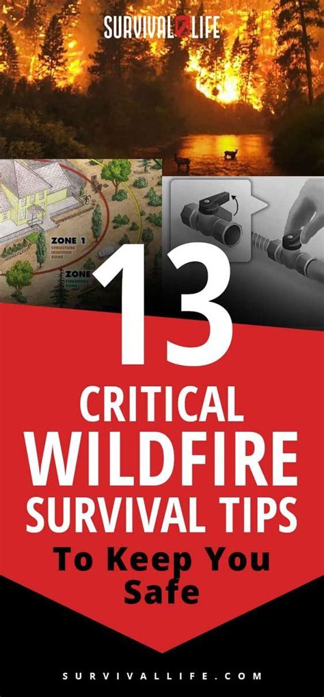 Updated 2017 13 Critical Wildfire Survival Tips To Keep You Safe