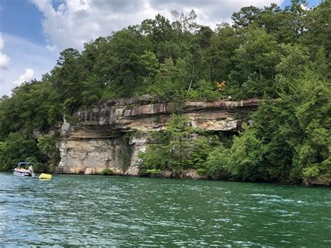 Trent is a real estate broker and developer, specializing in waterfront property in alabama. smith lake damn - Picture of Lewis-Smith Lake & Dam ...