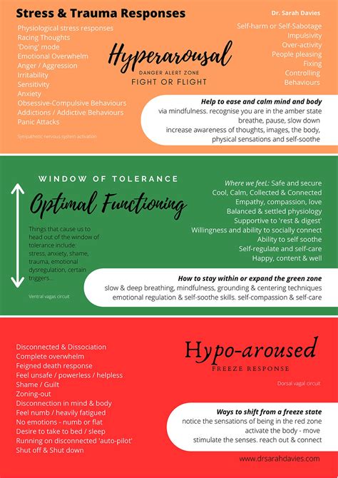 What Is Window Of Tolerance Emotional Regulation Model Explained