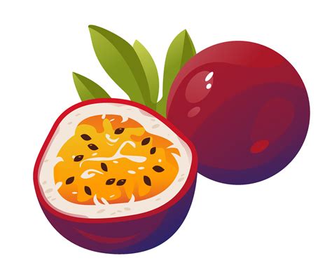 Vector Illustration Of Passion Fruit Passion Fruit Cut In Half Juicy Fruit 7746353 Vector Art