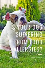 It's also important to note your pet may have symptoms due to a food intolerance. Is Your Dog Suffering From Food Allergies | Dog food ...