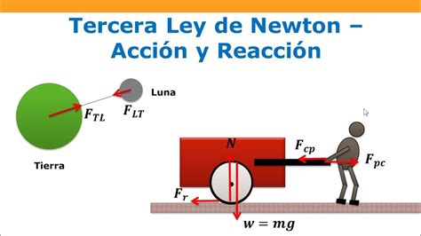 Ejemplos De Las Tres Leyes De Newton Wikipedia Ley Co