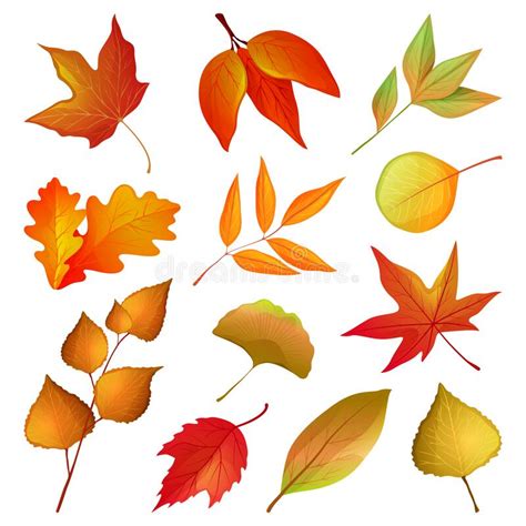 Decorative Autumn Leaves And Twigs Vector Set Stock Vector