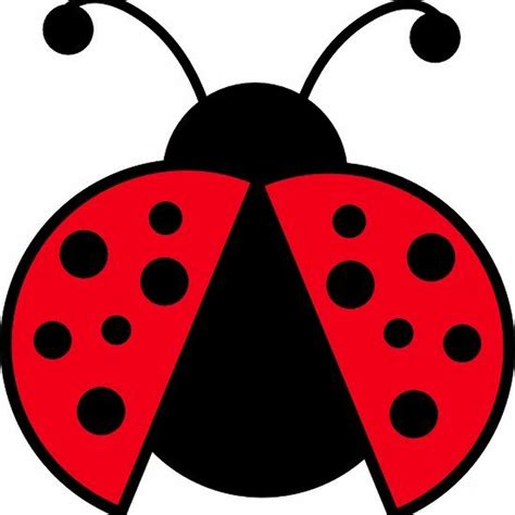 Download High Quality Ladybug Clipart Printable Transparent Png Images