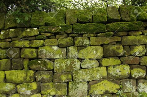 Moss Covered Dry Stone Wall Yorkshire England Stock Photo Dry