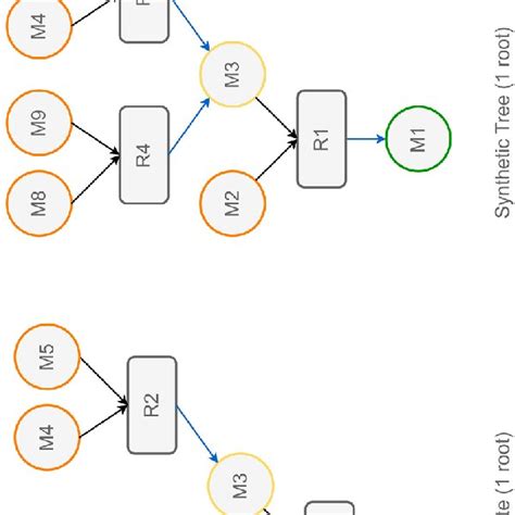 Schematic Representation Of Different Syngraph Types Synthetic Path A