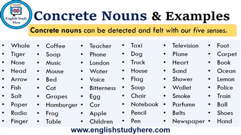 Concrete Nouns And Examples English Study Here