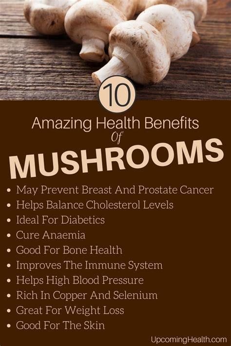 Top 10 Health Benefits Of Mushrooms And Why You Can Enjoy More Than The