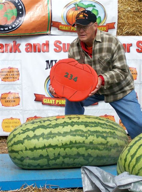 Giant Watermelon Picture 234berry 2011 Giant Watermelon Growers