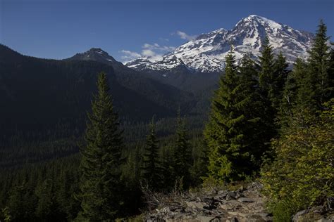 Mount Rainier View Of Mt Rainier From Rampart Ridge Trail Flickr
