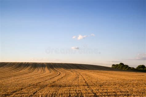 Countryside Landscape Of Freshly Harvested Field On Summer Day Stock