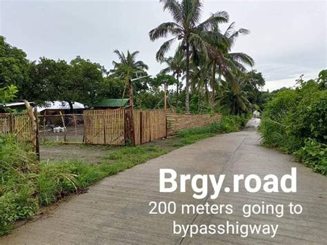 Titled Residential Farm Lot In Tagaytay City Lot April In