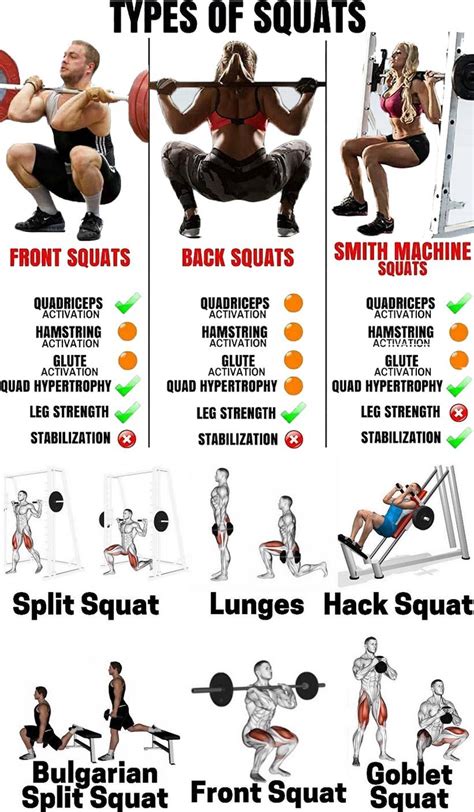 Different Squat Types