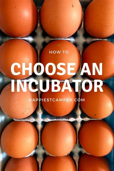 How To Choose An Egg Incubator Egg Incubator Incubator Hatching Chickens