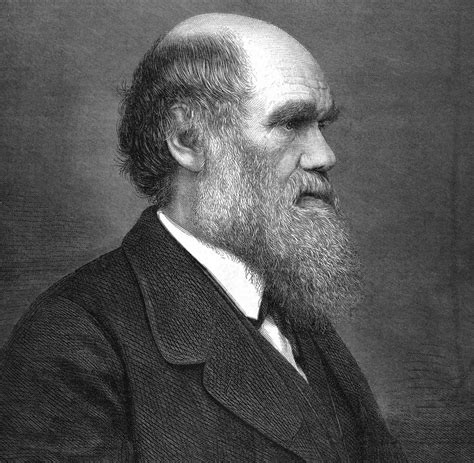 Charles Darwin News Bilder And Infos Zum Vater Der Evolutionstheorie Welt