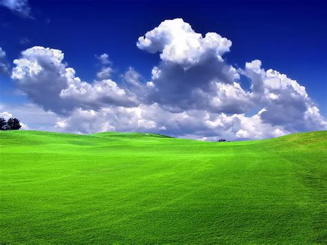 Hd Wallpaper Beautiful Greenland White Sky And Green Grass Field