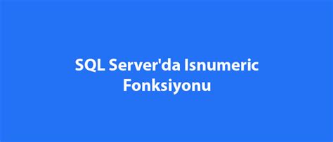 Sql Serverda Isnumeric Fonksiyonu Sql Server Eğitimleri