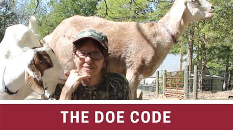 The Doe Code ~~ Stories Of Birth On The Homestead Youtube