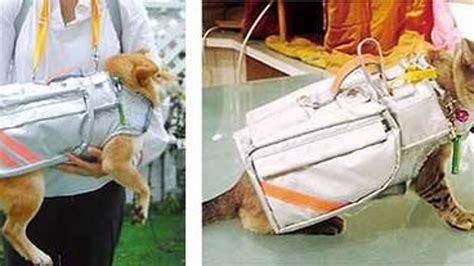 Pet Emergency Evacuation Jacket Turns Your Cat Into An Emergency