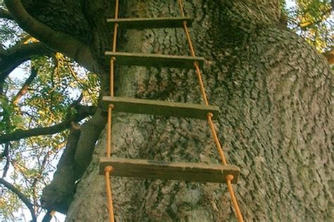 How To Make A Rope Ladder Gone Outdoors Your Adventure Awaits