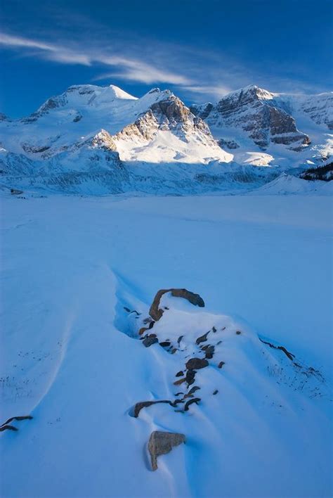 Mount Athabasca And Mount Andromeda In Winter Seen From