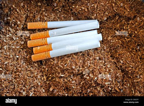 Cigarette Tubes On Loose Hand Rolling Tobacco Stock Photo Alamy