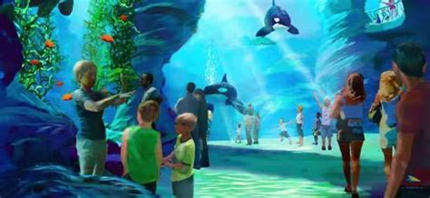 Seaworld Wants Bigger Tanks — So It Can Get More Orcas The Dodo