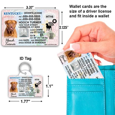 Kentucky Driver License Custom Pet Id Tag And Wallet Card 1 Cute Pooch