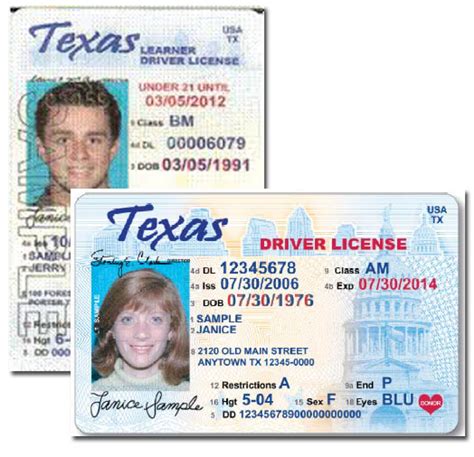 Under 21 Texas Id What Is An Audit Number On A Driver S License Budburn