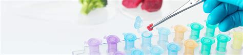 Immunoassays In Food Analysis Perkinelmer