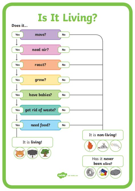 What Is A Flow Chart Answered Twinkl Teaching Wiki
