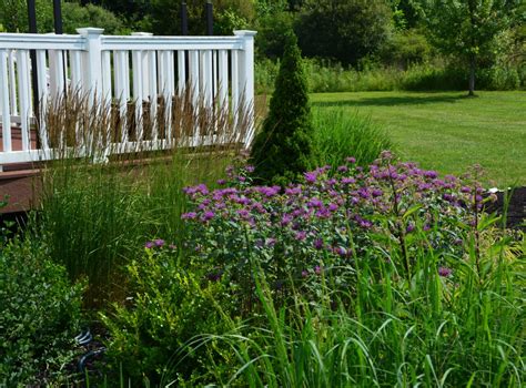 Plant Combo Of The Week Bee Balm And Karl Foerster Grass The