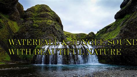 Waterfall And Jungle Sound With Beautiful Nature For Meditation And Sleep