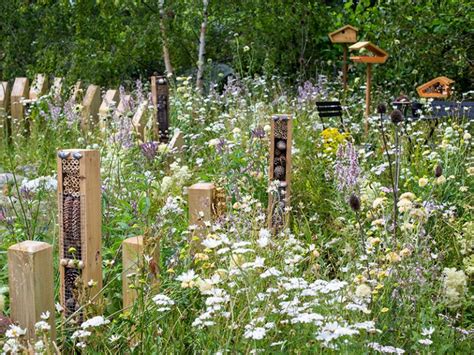 Why Wildlife Gardens Are The New Eco Must Have For Your Home