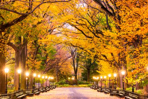 What To Do In The Fall In New York City Take New York Tours