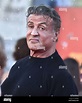 Sylvester Stallone at "The Suicide Squad" premiere held at the Regency ...