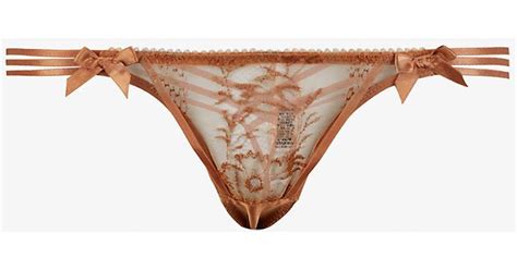 Agent Provocateur Tanya Lace Trim Mid Rise Stretch Silk Thong In Gold