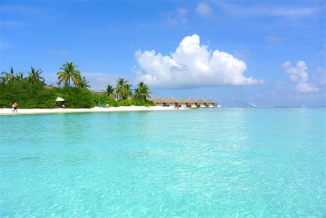 Tropical Paradise Coastline Maldives Free Image Download