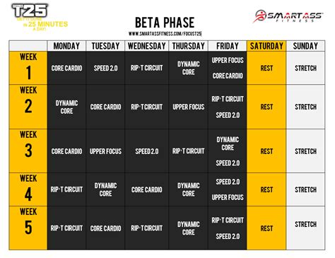 shaun t t25 workout