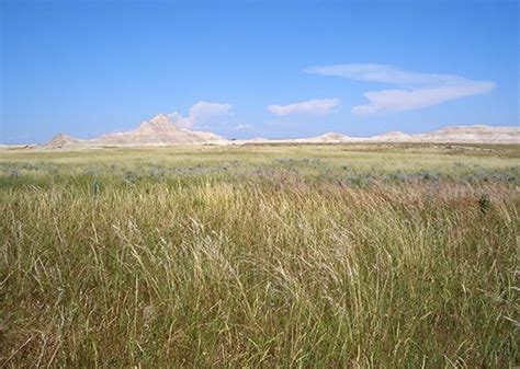 Great Plains Map Facts Definition And Climate