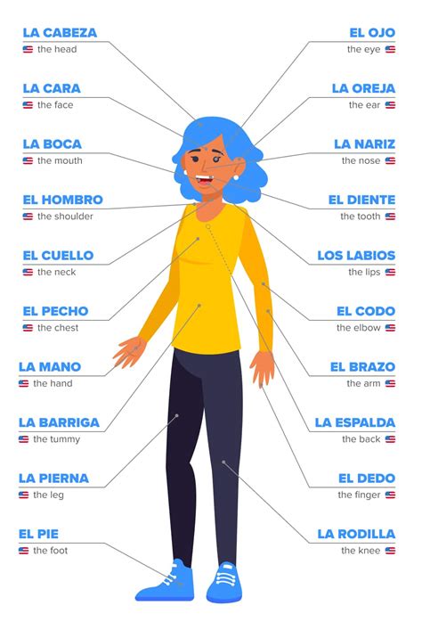 Body Parts In Spanish Important Vocabulary Words Plus Helpful Grammar Tips Fluentu Spanish