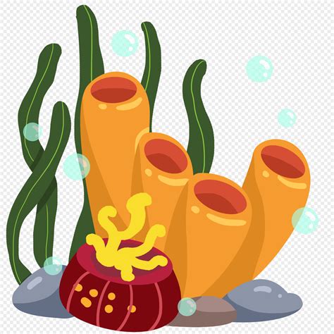 Dibujados A Mano Dibujos Animados Mar Coral Algas | imágenes de