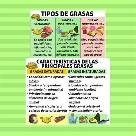 Grasas Saturadas e Insaturadas La Guía Definitiva