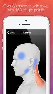 Trigger Points Guide Reference Download App For Iphone Steprimo Com
